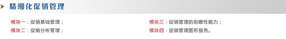 精細(xì)化促銷(xiāo)管理