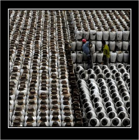 酒水行業:中國釀酒行業的最新發展趨勢 酒水行業:中國釀酒行業的最新發展趨勢