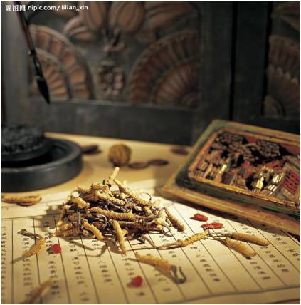 醫藥行業:十二五期間中國將支持構建中藥材三大支持體系 醫藥行業:十二五期間中國將支持構建中藥材三大支持體系