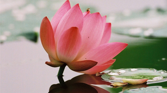 “這群人”仍在堅守內心的高貴