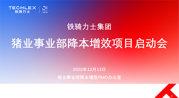 鐵騎力士集團(tuán)降本增效項目啟動