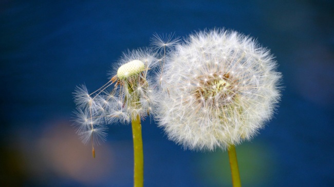 為什么優(yōu)秀員工也開始“摸魚打混”? 為什么優(yōu)秀員工也開始“摸魚打混”?