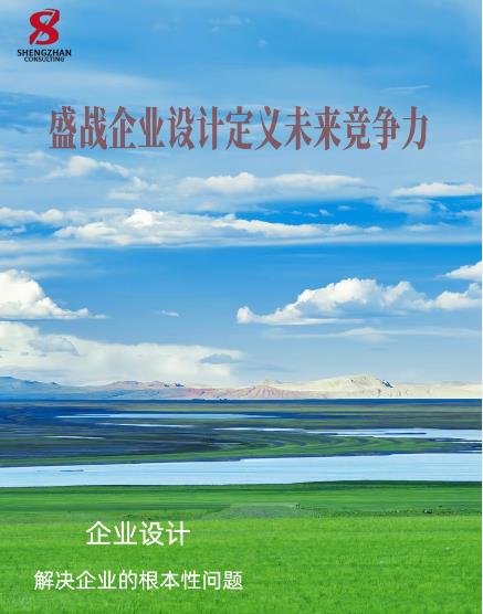   企業(yè)設(shè)計：解決企業(yè)的根本性問題
