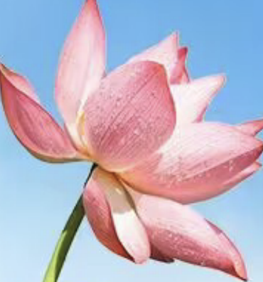 屬靈培訓講師 屬靈培訓講師